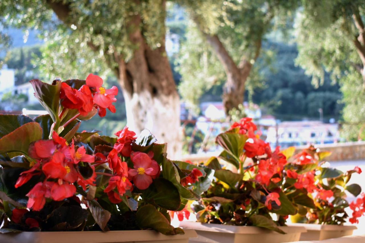 Gallery Suites Parga Exterior foto